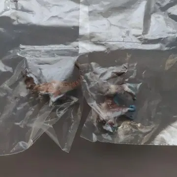 몬스터 헌터 도감 피규어 몬헌 캡콤 게임