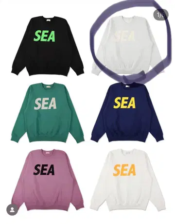 화이트 SEA WIND 프린트 트레이닝복 그레이