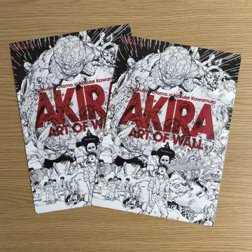 AKIRA ART OF WALL 플라이어 2장 세트