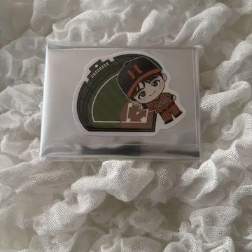 초특급 EVE RANDOM sticker 효고 하루