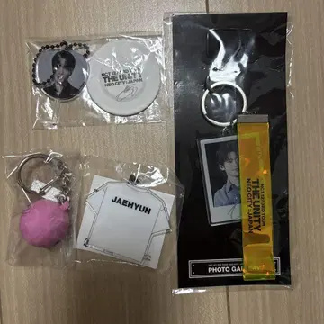 NCT127 UNITY XYZ 재현 키링 사인볼 부채