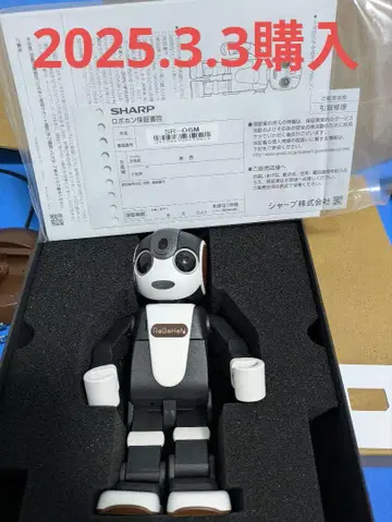로보혼 RoBoHoN