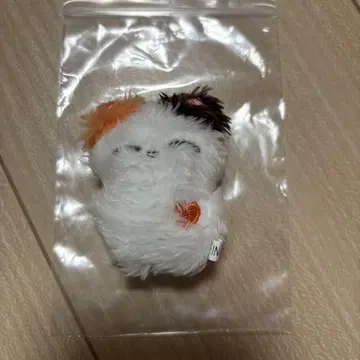 NCT127 재현 마스터 봉제 인형 5cm