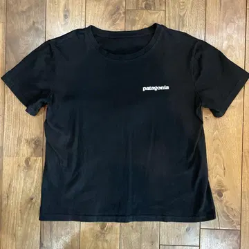 patagonia T셔츠 블랙 L