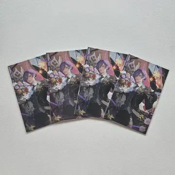 사카키네스 노스탤지어 컬렉션 4종 세트