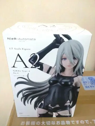 NieR:Automata Ver1.1a A2 (요르하 A형 2호)