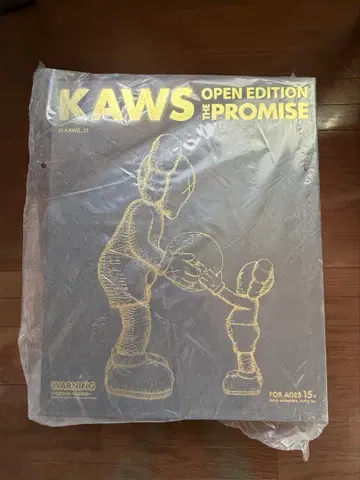 KAWS THE PROMISE OPEN EDITION