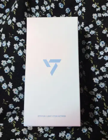 SEVENTEEN 공식 라이트 스틱 키링