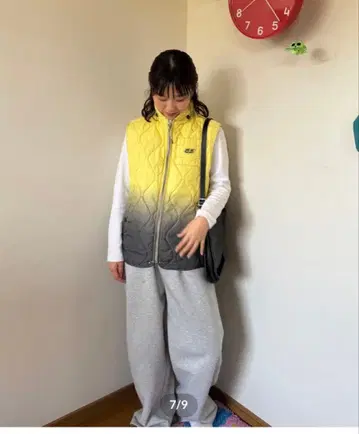 55dsl quilting vest