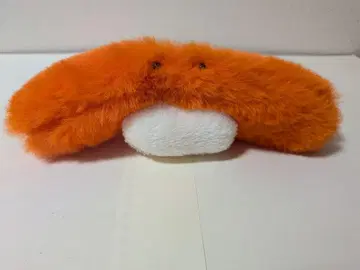 겨울털 연어