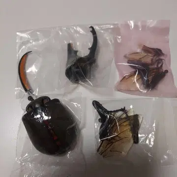 헤라클레스 세프텐트리오날리스 생물대도감 어드밴스 미개봉 새상품
