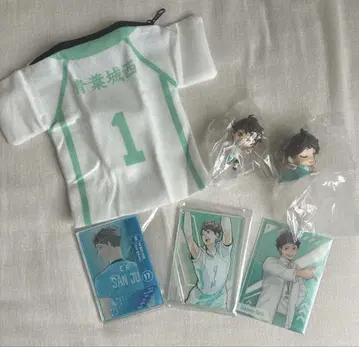 하이큐 오이카와 토오루 스탯 카드 컬렉션 등