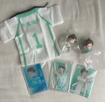 하이큐 오이카와 토오루 스탯 카드 컬렉션 등