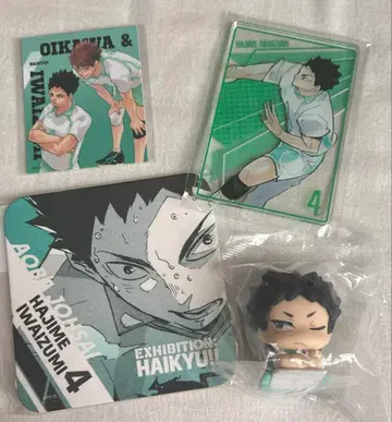 하이큐 이와이즈미 하지메 스탯 카드 컬렉션 등