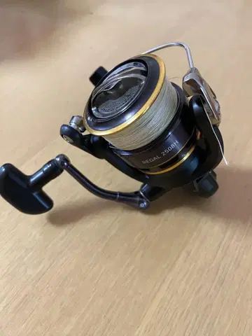 DAIWA REGAL 2508H
