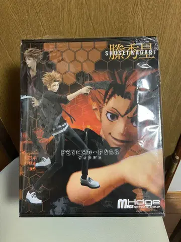 PSYCHO PASS 사이코패스 토가 아오이 피규어