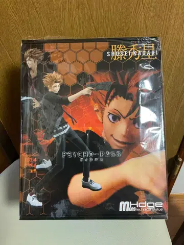 PSYCHO PASS 사이코패스 토가 아오이 피규어