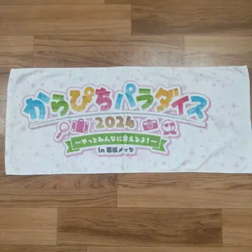 컬러풀 피치 카라피치 파라다이스 2024 페이스 타월