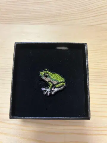 고바야시 모코 maison des perles [개구리] PIN