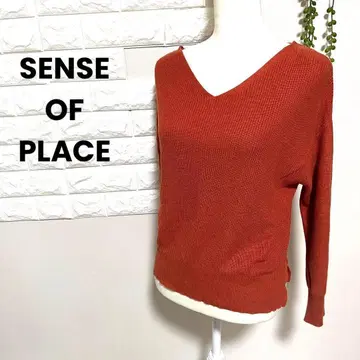 SENSE OF PLACE 니트 V넥 오렌지 여성용 프리
