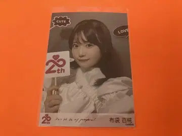 호테이 모모카 AKB48 oh my pumpkin 발매 기념 특전 생사진