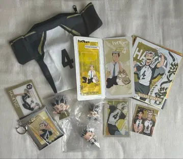 하이큐 보쿠토 스탯 카드 컬렉션 등