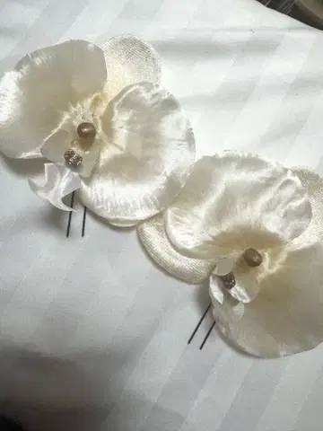 팔레놉시스 일본 의류 머리 장식 샴페인 컬러