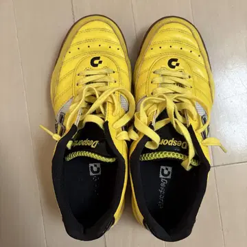 Desporte 트레이닝 슈즈 24.5cm