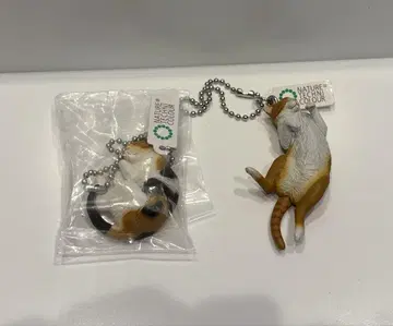 네이처 테크니컬러 고양이 볼체인 2개 삼색 고양이 브라운 태비