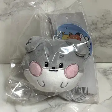 고니니 페이스 키링