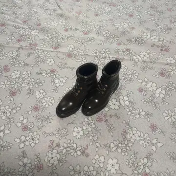 육분의 일 남자 도감 워크 부츠 반려동물 웍스