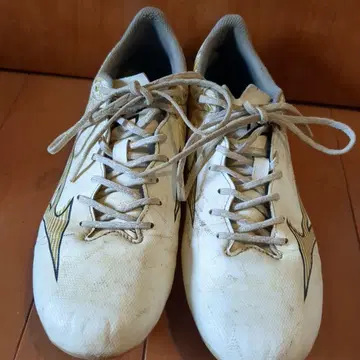 Mizuno Alpha 축구 스파이크 미즈노 알파