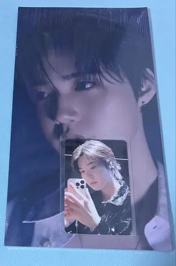 TREASURE PLEASURE 올리브영 도영 트레이딩 카드