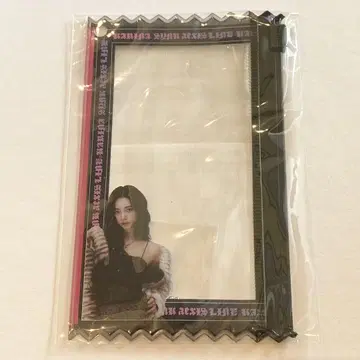 aespa 2025 LIVE TOUR 랜덤 토이 슬라이더 파우치 카리나