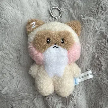 Zeroni 하니니 장하오