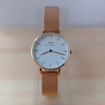Daniel Wellington 쿼츠 손목시계 SS