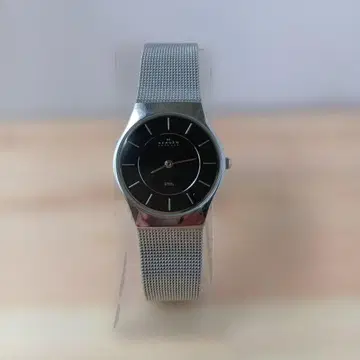 SKAGEN 쿼츠 손목시계 SS