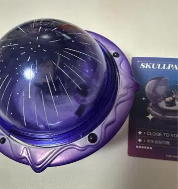 SKULLPANDA 돔형 캐릭터