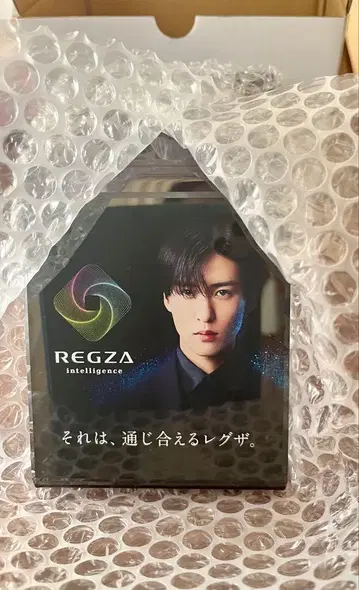 REGZA 레그자 오리지널 한정판 기념품 리모컨 스탠드 미사용 메구로 렌