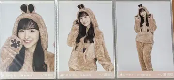 이치노세 미쿠 브로마이드 애니멀 룸웨어 3종 컴프