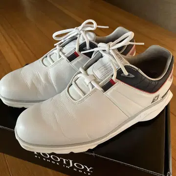 FOOTJOY PRO SL 골프화
