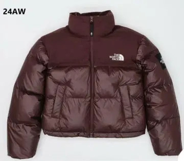 THE NORTH FACE 24AW 브라운 다운 자켓