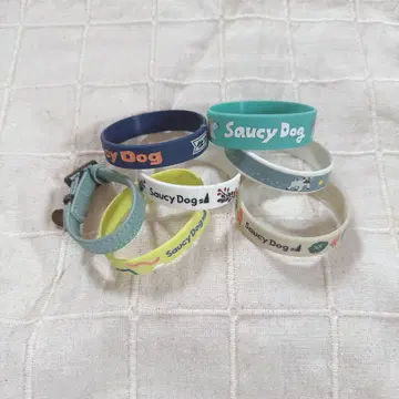 Saucy Dog 러버밴
