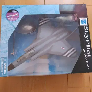 SkyPilot F-14 1:72 스케일 모델