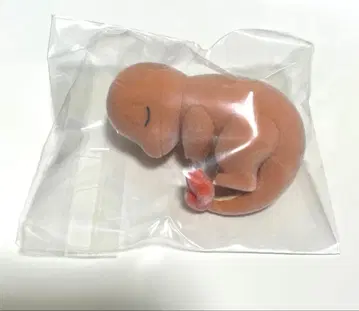 리자드 피규어 컬렉션 포켓몬 슬립 와카쿠사섬