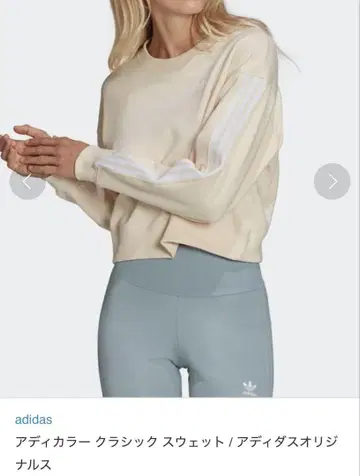 adidas 클래식 맨투맨 크림