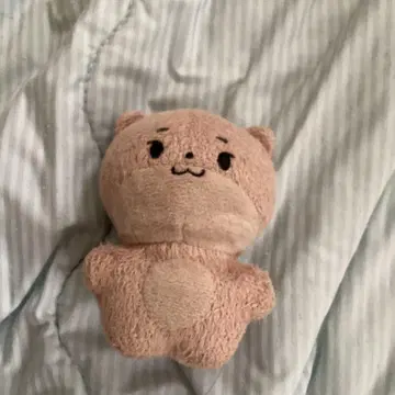 SEVENTEEN 디노 10cm 봉제 인형