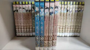 DVD 월에 피는 꽃처럼