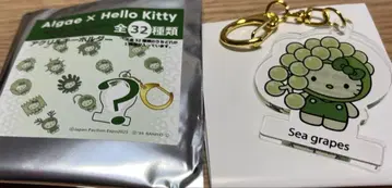 오사카 엑스포 일본관 한정판 헬로키티 시크릿 핀 배지 조류 곱슬말