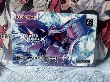 한정판 e-amusement pass SDVX 666 홍인
